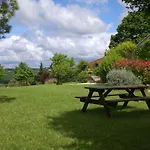 Des Cypres * Constans