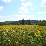 Des Cypres * Constans