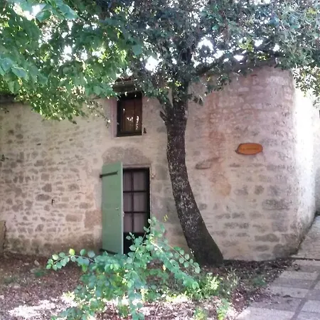 Des Cypres Constans