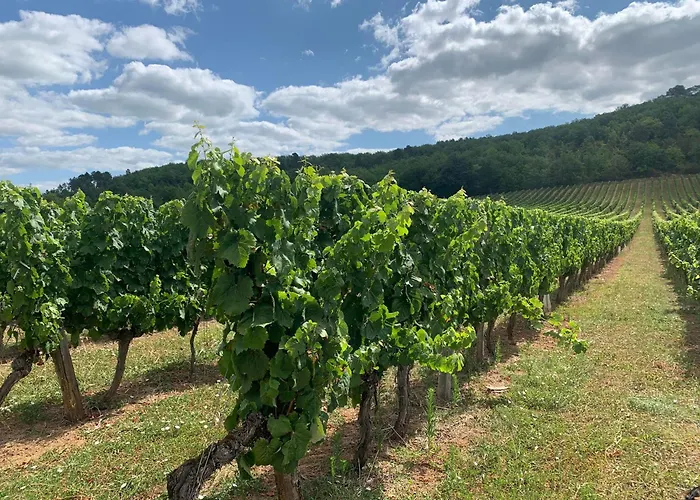 Des Cyprès Hébergement de vacances *