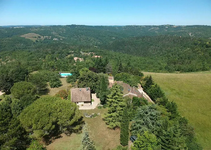 Des Cyprès * Constans