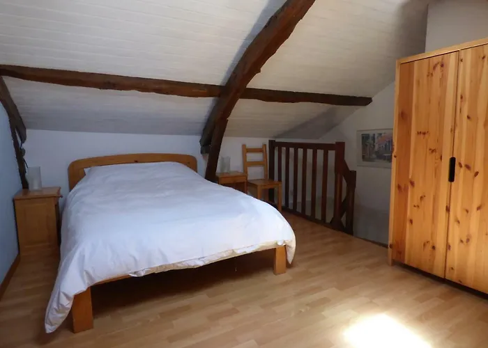 Des Cyprès Constans