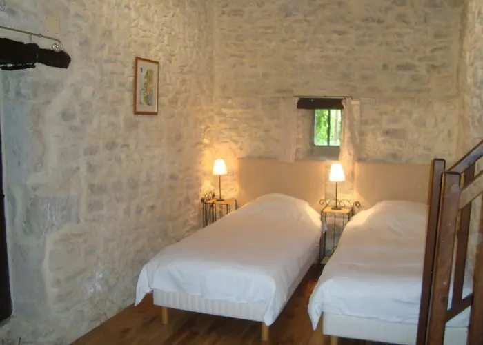 Des Cyprès Constans