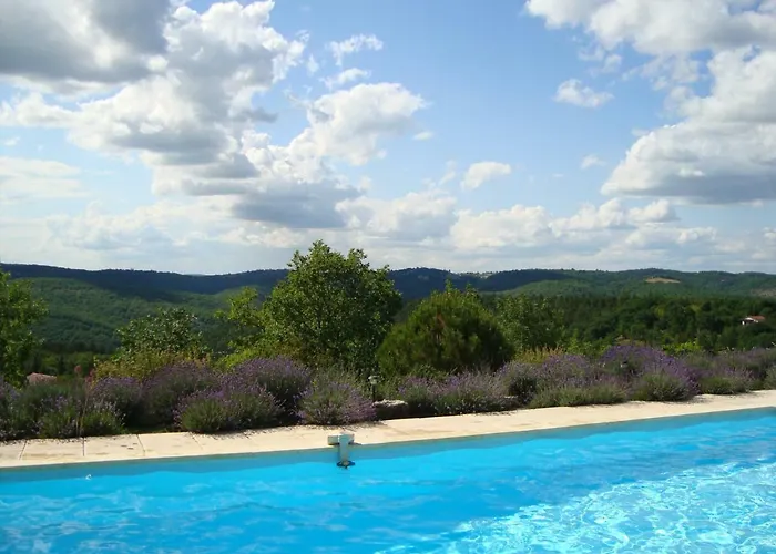 Des Cyprès * Constans